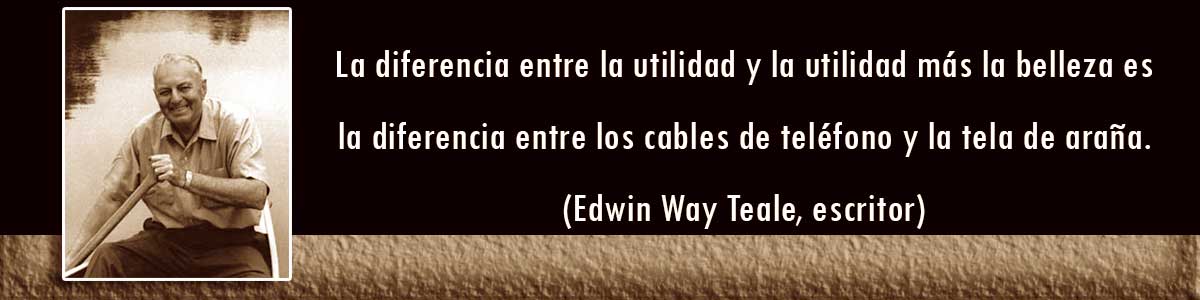 Cables textiles - frases de Edwin Wark Tale